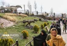 d8aad8a8d8afdb8cd984 d8aad987d8b1d8a7d986 d8a8d987 d982d8b7d8a8 daafd8b1d8afd8b4daafd8b1db8c d8a2d985d8a7d8b1 d985d8b1d8a7d8acd8b9d8a7 65a81d5e30fae