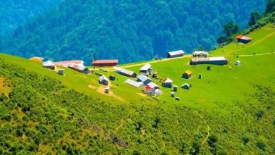 تخصیص اعتبار ۱۰۰۰ میلیاردی برای توسعه زیرساخت های گردشگری گیلان 18 d8aad8aed8b5db8cd8b5 d8a7d8b9d8aad8a8d8a7d8b1 dbb1dbb0dbb0dbb0 d985db8cd984db8cd8a7d8b1d8afdb8c d8a8d8b1d8a7db8c d8aad988d8b3d8b9d987 65a666dae8f68