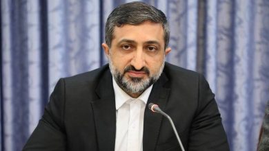 تسهیل اجرای باغ مدرن در اصلاندوز 1 d8aad8b3d987db8cd984 d8a7d8acd8b1d8a7db8c d8a8d8a7d8ba d985d8afd8b1d986 d8afd8b1 d8a7d8b5d984d8a7d986d8afd988d8b2 65a63f94d5a24