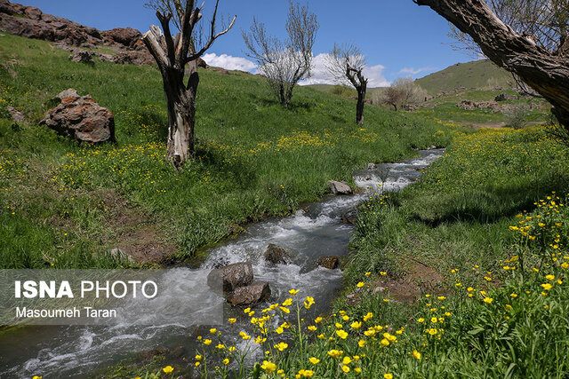 تورگردانی؛ توری که چرخ گردشگری زنجان را نمی‌گرداند