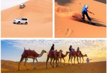 d8aad988d8b3d8b9d987 d8b5d986d8b9d8aa daafd8b1d8afd8b4daafd8b1db8cd88c d8a8d8b1d8a7d8b3d8a7d8b3 d8a7d984daafd988db8c d985d8afdb8c 65a67e73afa7f