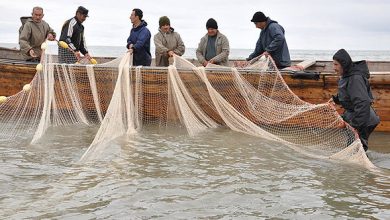 توضیحات مدیرعامل تامیناجتماعی درخصوص مشکلات بیمهای صیادان و ملوانان 2 d8aad988d8b6db8cd8add8a7d8aa d985d8afdb8cd8b1d8b9d8a7d985d984 d8aad8a7d985db8cd986d8a7d8acd8aad985d8a7d8b9db8c d8afd8b1d8aed8b5 65a52a68eca07