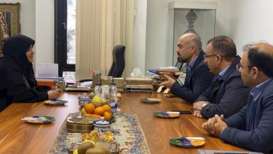 تولید بدون کارخانه در صنایع دستی نهفته است/ هنرمندان تسهیلات بدون ضامن دریافت می کنند 1 d8aad988d984db8cd8af d8a8d8afd988d986 daa9d8a7d8b1d8aed8a7d986d987 d8afd8b1 d8b5d986d8a7db8cd8b9 d8afd8b3d8aadb8c d986d987d981d8aad987 65a668d4f3116