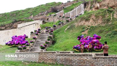ثبت ۵۰۹ هزار بازدید از جاذبههای گلستان/ طبیعت استان اولویت گردشگران 25 d8abd8a8d8aa dbb5dbb0dbb9 d987d8b2d8a7d8b1 d8a8d8a7d8b2d8afdb8cd8af d8a7d8b2 d8acd8a7d8b0d8a8d987d987d8a7db8c daafd984d8b3d8aa 65a639050cdff