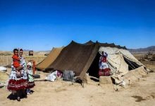 d8acd8a7d985d8b9d987 d8b9d8b4d8a7db8cd8b1 d8a8d8a7db8cd8af d8a8db8cd8b4d8aad8b1 d8afdb8cd8afd987 d8b4d988d986d8af 65a50ac211cc5