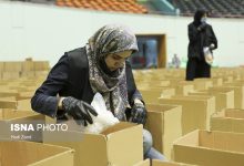 d8acd8b0d8a8 dbb8dbb5dbb3dbb9 d985db8cd984db8cd8a7d8b1d8af d8aad988d985d8a7d986 daa9d985daa9 d985d8b1d8afd985db8c d8aad988d8b3d8b7 d985 65a8c9646c90e