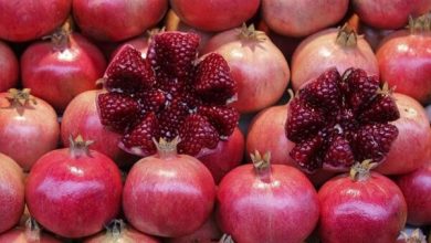 جشنواره انار در خنامان رفسنجان برگزار میشود 7 d8acd8b4d986d988d8a7d8b1d987 d8a7d986d8a7d8b1 d8afd8b1 d8aed986d8a7d985d8a7d986 d8b1d981d8b3d986d8acd8a7d986 d8a8d8b1daafd8b2d8a7d8b1 65a4ac4c834ab