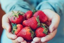 d8acd8b4d986d988d8a7d8b1d987 d8aad988d8aa d981d8b1d986daafdb8c d8afd8b1 d8b4d8a7d987d988 d8a8d8b1daafd8b2d8a7d8b1 d985db8c 65a806ea82a54