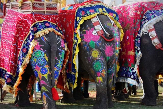 جیپور، شهری صورتی در هندوستان 9 جیپور، شهری صورتی در هندوستان