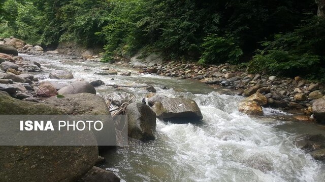 "خالی نسا"؛ مادری سبزپوش میان دره سیاهمزگی