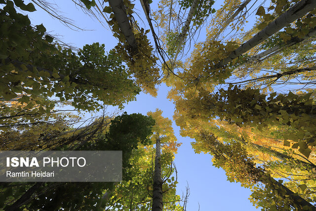 خرمدره؛ نگین سبز زنجان 6 خرمدره؛ نگین سبز زنجان