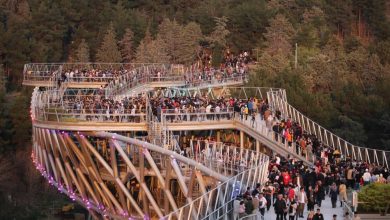 در اراضی عباسآباد چه خبر است؟ 7 d8afd8b1 d8a7d8b1d8a7d8b6db8c d8b9d8a8d8a7d8b3d8a2d8a8d8a7d8af da86d987 d8aed8a8d8b1 d8a7d8b3d8aad89f 65a63324534af