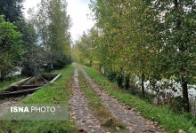 d8afd8b1 d9bedb8cda86 d988 d8aed985 d8b3d9bedb8cd8afd8b1d988d8af d988 da86d988d984d8a7d8a8d8b4 65a4a51db0271