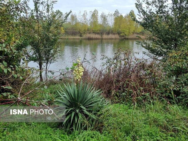 در پیچ و خم سپیدرود و چولابش 2 در پیچ و خم سپیدرود و چولابش