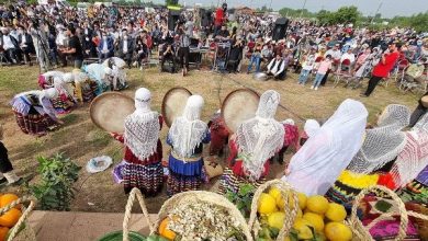 درآمد ۲۰۰ میلیاردی جشنواره های گردشگری در گیلان 6 d8afd8b1d8a2d985d8af dbb2dbb0dbb0 d985db8cd984db8cd8a7d8b1d8afdb8c d8acd8b4d986d988d8a7d8b1d987 d987d8a7db8c daafd8b1d8afd8b4daaf 65a50f3dc12f2