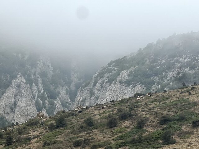 دراسله، بوم نقاشی خداوند