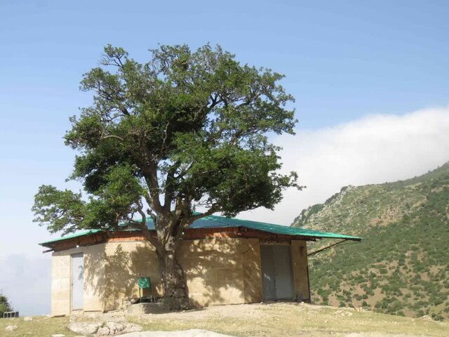 دراسله، بوم نقاشی خداوند