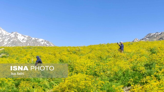 دریاچه زیبای "کوه گل" سی سخت 3 منطقه زیبای دریاچه "کوه گل" سی سخت