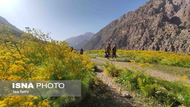 دریاچه زیبای "کوه گل" سی سخت 7 منطقه زیبای دریاچه "کوه گل" سی سخت