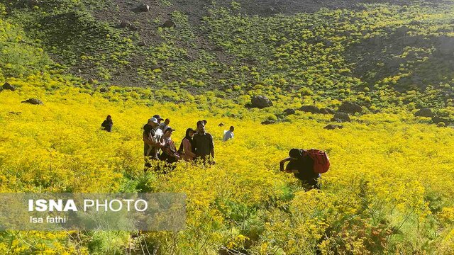 دریاچه زیبای "کوه گل" سی سخت 8 منطقه زیبای دریاچه "کوه گل" سی سخت