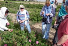 d8afd8b3d8aad988d8b1d8a7d984d8b9d985d984 d985db8cd8b2d8a8d8a7d986db8c d8a7d8b2 daafd8b1d8afd8b4daafd8b1d8a7d986 d8aed8a7d8b1d8acdb8c 65a83db362bcb