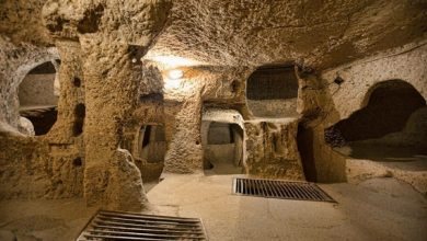 دستکند «ارزانفود» چشمانتظار اعتبار 7 d8afd8b3d8aadaa9d986d8af d8a7d8b1d8b2d8a7d986d981d988d8af da86d8b4d985d8a7d986d8aad8b8d8a7d8b1 d8a7d8b9d8aad8a8d8a7d8b1 65a4f17fd66a6