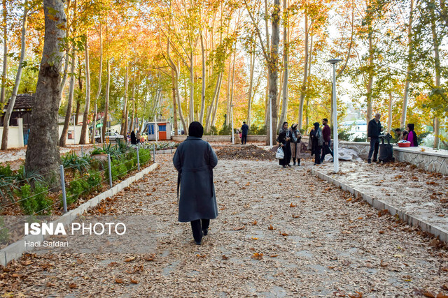 دونوازی پاییز و چنارهای محلات، فرصتی که از دست می رود 2 دونوازی پاییز و چنارهای محلات، فرصتی که از دست می رود