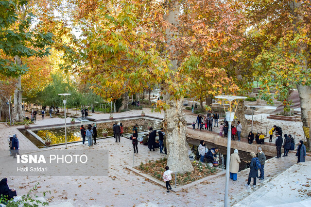 دونوازی پاییز و چنارهای محلات، فرصتی که از دست می رود 3 دونوازی پاییز و چنارهای محلات، فرصتی که از دست می رود