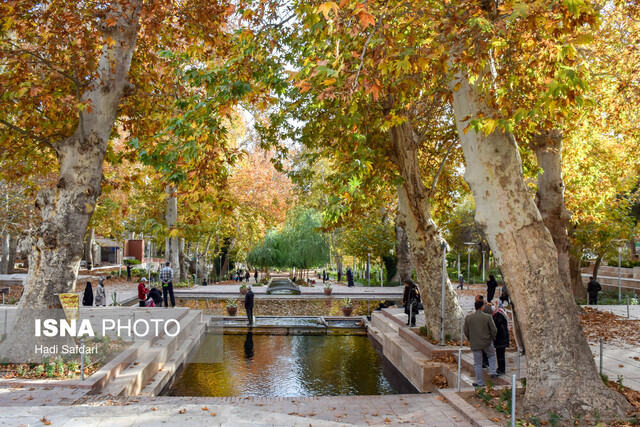 دونوازی پاییز و چنارهای محلات، فرصتی که از دست می رود 4 دونوازی پاییز و چنارهای محلات، فرصتی که از دست می رود