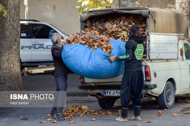 دونوازی پاییز و چنارهای محلات، فرصتی که از دست می رود 6 دونوازی پاییز و چنارهای محلات، فرصتی که از دست می رود