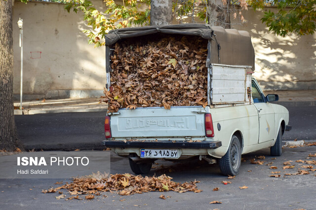 دونوازی پاییز و چنارهای محلات، فرصتی که از دست می رود 7 دونوازی پاییز و چنارهای محلات، فرصتی که از دست می رود