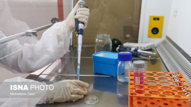 d8b1d8a7d987d8a7d986d8afd8a7d8b2db8c d8b3d8a7d985d8a7d986d987 d985d8b4d8a7d988d8b1d987 da98d986d8aadb8cdaa9d89b d8a8d987 d8b2d988 65a568d1807ac