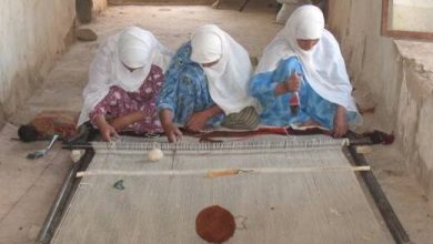 رشد ۷ درصدی تعاونی زنان در دولت سیزدهم 5 d8b1d8b4d8af dbb7 d8afd8b1d8b5d8afdb8c d8aad8b9d8a7d988d986db8c d8b2d986d8a7d986 d8afd8b1 d8afd988d984d8aa d8b3db8cd8b2d8afd987d985 65a52939d2105