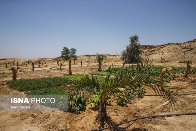 روایتی از زندگی معتادان متجاهر در کمپ ماده ۱۶ خوزستان 6 روایتی از زندگی معتادان متجاهر در کمپ ماده ۱۶ خوزستان