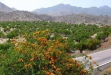 d8b1d988d8a7db8cd8aadb8c d8afd984d986d8b4db8cd986 d8a7d8b2 d8b2db8cd8a8d8a7db8cdb8cd987d8a7db8c d985d8add988d8b1 daafd8b1d8afd8b4 65a649d35afb5