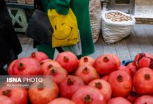 d8b1d988d8b4d987d8a7db8c d985d8b4d8a7d8b1daa9d8aa d8afd8b1 d9bed988db8cd8b4 db8cd984d8afd8a7db8c d985d987d8b1d8a8d8a7d986db8c 65a4a50567f9b