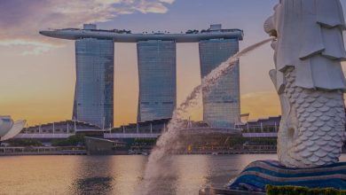 ریزش گردشگران سنگاپور 4 d8b1db8cd8b2d8b4 daafd8b1d8afd8b4daafd8b1d8a7d986 d8b3d986daafd8a7d9bed988d8b1 65a498c55e033