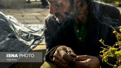 «زامبی» هنوز به ایران نرسیده است/ «حشیش»،«تریاک»،«آمفتامین» و«کوکائین»؛مخدرهای پرمصرف جهان 4 d8b2d8a7d985d8a8db8c d987d986d988d8b2 d8a8d987 d8a7db8cd8b1d8a7d986 d986d8b1d8b3db8cd8afd987 d8a7d8b3d8aa d8add8b4db8cd8b4 65a57bd338023
