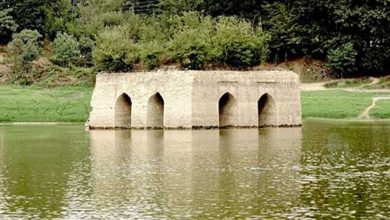 زنگ خطر خروج میراث جهانی "باغ عباسآباد" بهشهر به صدا در آمد 11 d8b2d986daaf d8aed8b7d8b1 d8aed8b1d988d8ac d985db8cd8b1d8a7d8ab d8acd987d8a7d986db8c d8a8d8a7d8ba d8b9d8a8d8a7d8b3d8a2d8a8 65a4ca717807f