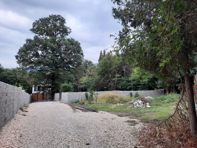 زنگ خطر خروج میراث جهانی "باغ عباس‌آباد" بهشهر به صدا در آمد