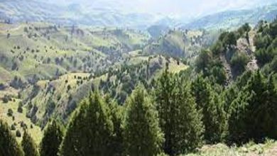 d8b2db8cd8a8d8a7db8cdb8cd987d8a7db8c d9bed986d987d8a7d986 d985d8a7d986d8afd987 d8a7d8b2 d8afdb8cd8af daafd8b1d8afd8b4daafd8b1d8a7 65a6372c5fc40