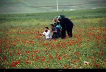 d8b3d981d8b1 d8a8d987 d8afd8b4d8aa d8b4d982d8a7db8cd982d987d8a7db8c daa9d8a7d984d9bed988d8b4 d8a8d8b9d8af d8a7d8b2 d988d982d981 65a810324d59b