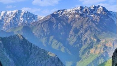 سفر به قاب عکس زیبای طبیعت در فصل بهار 3 d8b3d981d8b1 d8a8d987 d982d8a7d8a8 d8b9daa9d8b3 d8b2db8cd8a8d8a7db8c d8b7d8a8db8cd8b9d8aa d8afd8b1 d981d8b5d984 d8a8d987d8a7d8b1 65a80930c3dfa