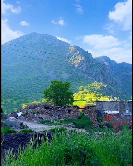 سفر به قاب عکس زیبای طبیعت در فصل بهار 3 سفر به قاب عکس زیبای طبیعت در فصل بهار