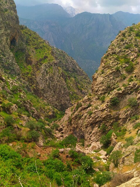 سفر به قاب عکس زیبای طبیعت در فصل بهار 4 سفر به قاب عکس زیبای طبیعت در فصل بهار
