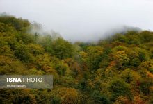 d8b3d981d8b1 d8a8d987 d982d984d8a8 d8acd986daafd984d987d8a7db8c d987db8cd8b1daa9d8a7d986db8c 65a516e15bc7f