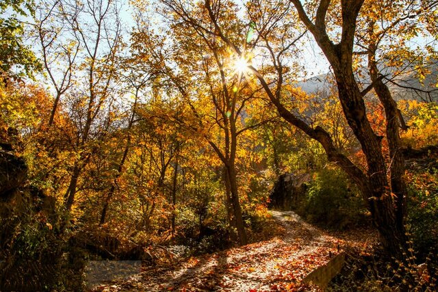 سفری رؤیایی در دل پاییز 3 سفری رویایی در دل پاییز