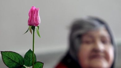 سیاستها در حوزه سیاستگذاری سالمندی باید پیشگیرانه باشد 10 d8b3db8cd8a7d8b3d8aad987d8a7 d8afd8b1 d8add988d8b2d987 d8b3db8cd8a7d8b3d8aadaafd8b0d8a7d8b1db8c d8b3d8a7d984d985d986d8afdb8c d8a8 65a57dc231126