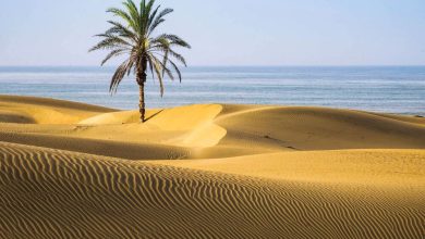 شهرستان چابهار بر روی ریل توسعه پایدار گردشگری 6 d8b4d987d8b1d8b3d8aad8a7d986 da86d8a7d8a8d987d8a7d8b1 d8a8d8b1 d8b1d988db8c d8b1db8cd984 d8aad988d8b3d8b9d987 d9bed8a7db8cd8afd8a7d8b1 65a4dc5c0aa0e