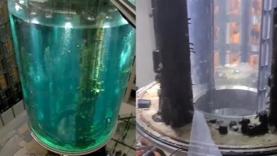 شکستهشدن آکواریوم هتل، فاجعه به بار آورد 10 d8b4daa9d8b3d8aad987d8b4d8afd986 d8a2daa9d988d8a7d8b1db8cd988d985 d987d8aad984d88c d981d8a7d8acd8b9d987 d8a8d987 d8a8d8a7d8b1 65a66742cbd0a